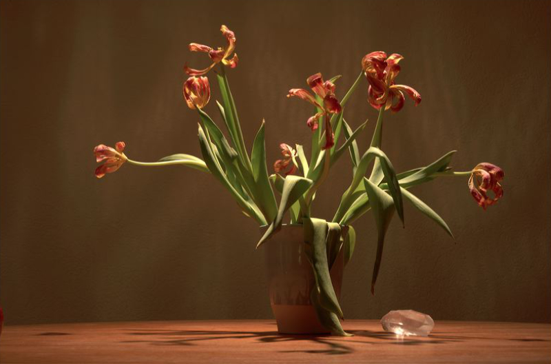 zurichtulips1.jpg